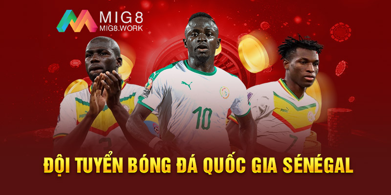 Đội tuyển bóng đá quốc gia Sénégal